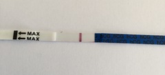 BFN or super faint BFP?
