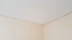 Cracks on internal walls. Advice please
