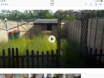 Frulgaleers - Jumping  into June