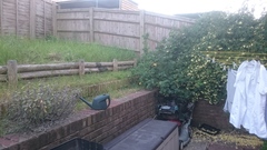 Cheap, quick and easy ways to smarten up my garden before we get evicted?