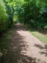 Bike Rides - Summer 18