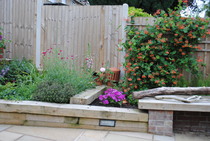 Garden Makeover Thread