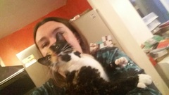 Apparently it's 'hug your cat day'