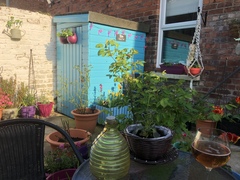 house with small patio - resale