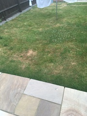 Novice gardener!  What, if anything, can I start doing now?