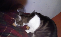 PB, some yum e yums and a LWT