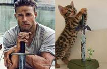 Swagger Inn 156 - The Weather Is Getting Hot, The HBFs Will Always Be Hotter