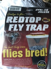 To be feeling a bit hysterical about all the flies?