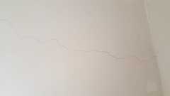 Cracks on internal walls. Advice please