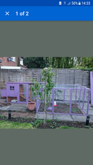 How does this look for 2/3 chickens