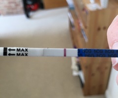 BFN or super faint BFP?
