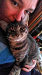 Apparently it's 'hug your cat day'