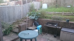 Cheap, quick and easy ways to smarten up my garden before we get evicted?