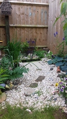 Frulgaleers - Jumping  into June