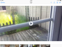 Frulgaleers - Jumping  into June