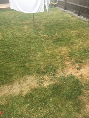 Novice gardener!  What, if anything, can I start doing now?