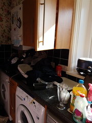 Please help me. My house is disgusting