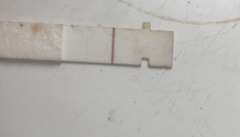Bfp on nexplanon?