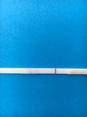 Anyone used eBay 10 miu tests?