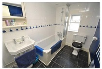 Damp external wall