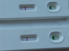 Anyone testing in the morning?