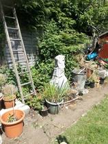 Raised beds