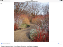 Help me choose all year colour low maintenance plants for a sunny border