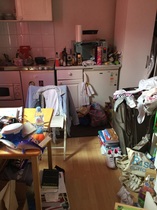 Please help me. My house is disgusting