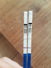 Anyone else waiting to test?