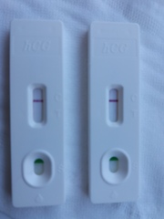 Anyone testing in the morning?
