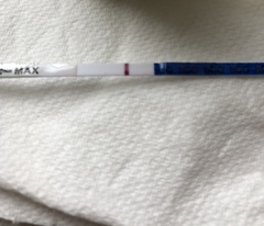 Expert line eyes needed...any hope at all?