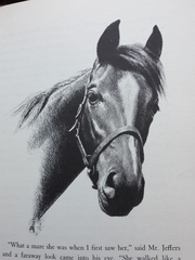 Old pony books