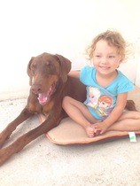 To really want a Doberman?