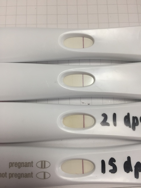 Does PCOS affect Hcg levels?
