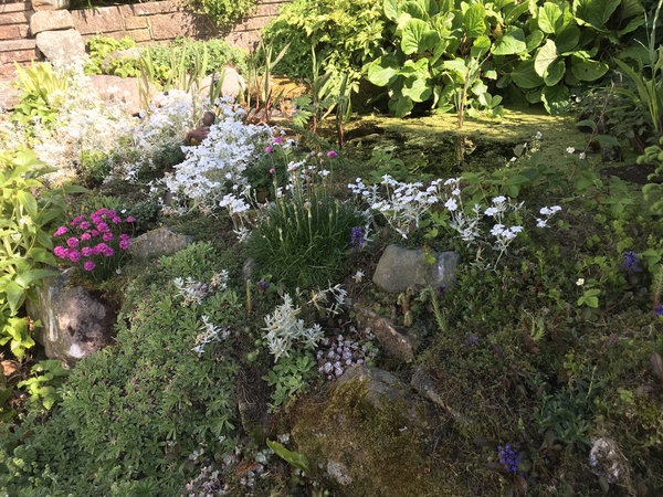 Show me your rockery!