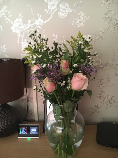 Free box of flowers - Freddie's Flowers