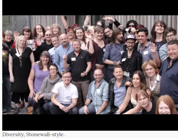 Stonewall - The Truth about Trans