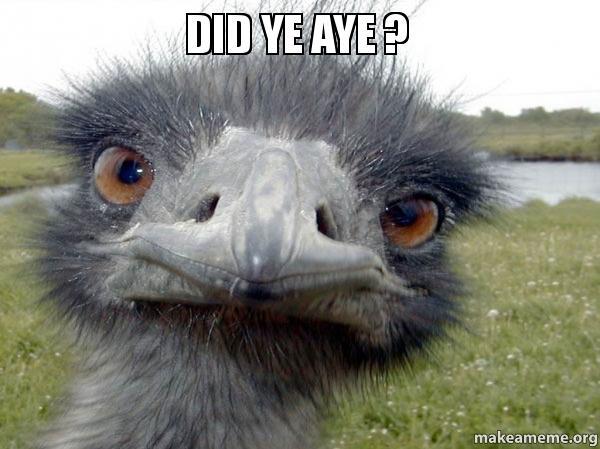 To want to holiday like a normal person