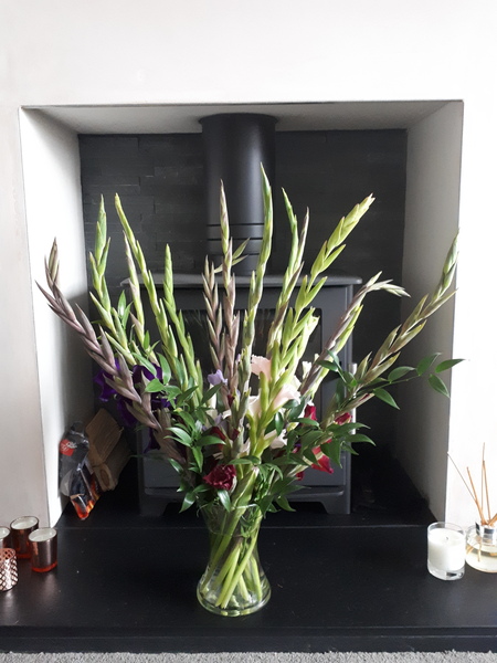 Free box of flowers - Freddie's Flowers