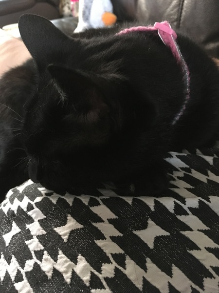 The March-ers (2019) #2