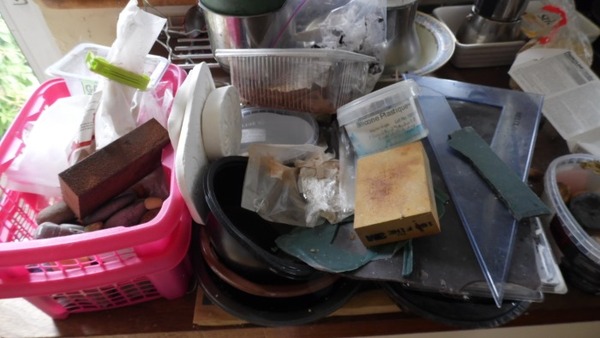 If your house was filthy? And I mean BAD.