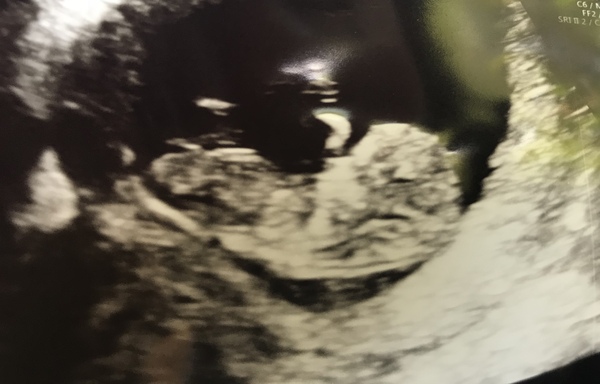 February 2019 part 4