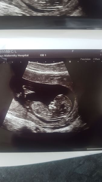 February 2019 part 4