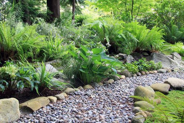 Never mowing front lawn again?