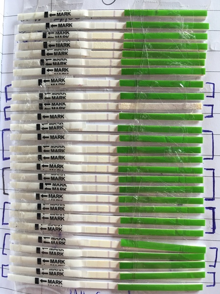Does anyone have a photo of a whole cycle or the build up to and ovulation on ovulation sticks?