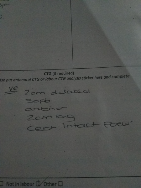Maternity notes jargon help?