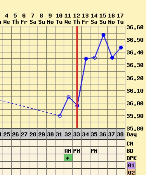 BBT experts look this way!