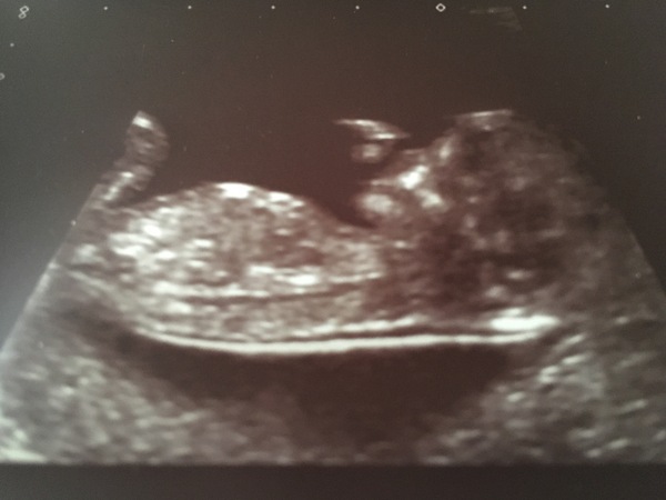 February 2019 part 4