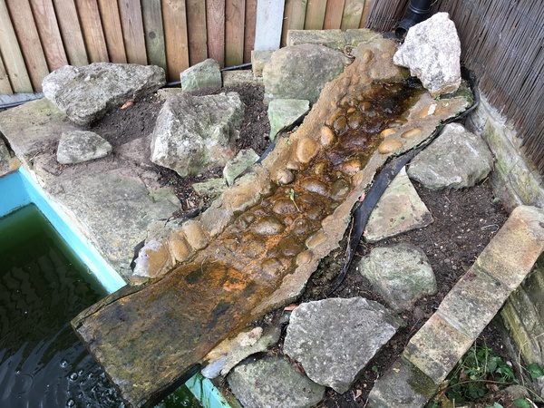 Show me your rockery!