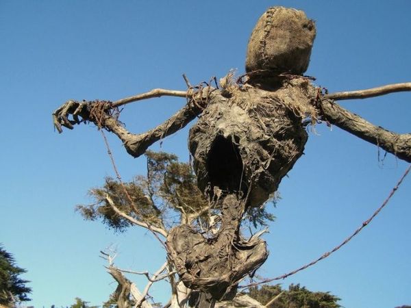 Neighbour does not like the look of my garden - threatening to sue